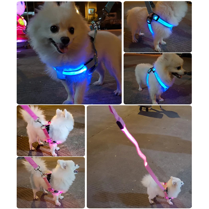 LED Dog Harness Rechargeable Flashing Night Safety