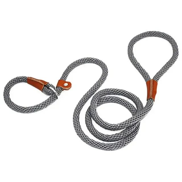 Chain Durable Nylon Slip Rope Dog Leash Collar 2 In 1