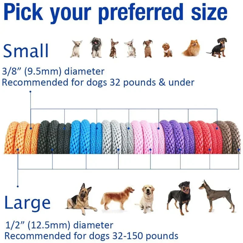 Chain Durable Nylon Slip Rope Dog Leash Collar 2 In 1