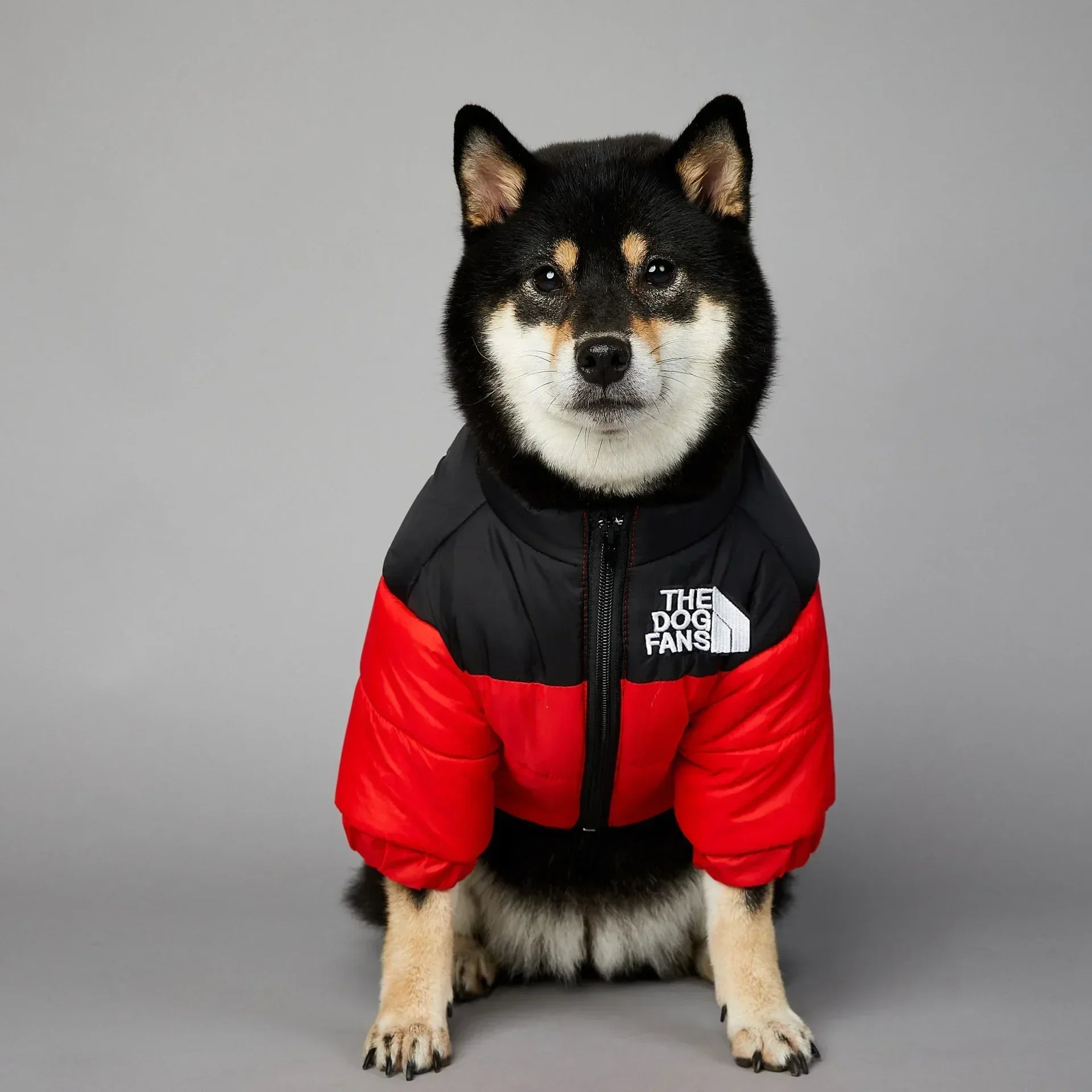 Puppy Coat Dog Down Jacket The Dog Fans Winter