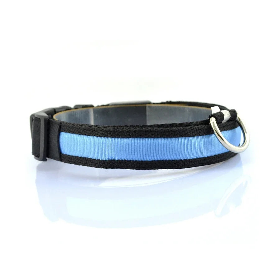 Glowing Dog Collar Nylon LED Night Safetly Glow