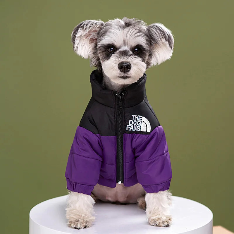 Puppy Coat Dog Down Jacket The Dog Fans Winter