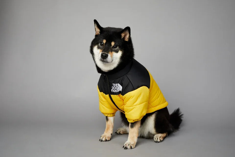 Puppy Coat Dog Down Jacket The Dog Fans Winter