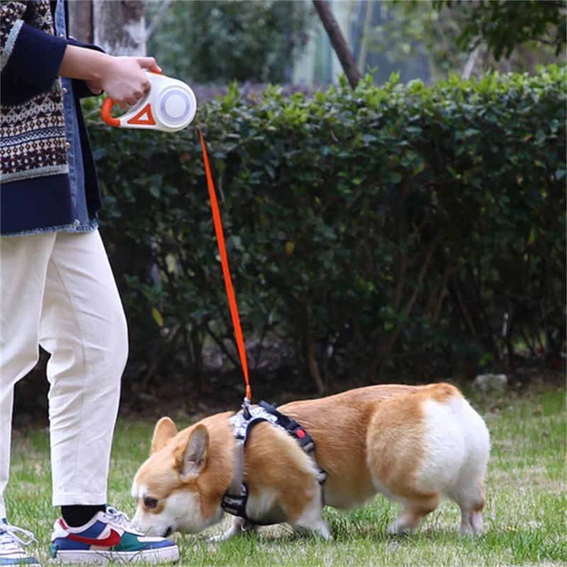 Dog Leash with Led Flashlight Durable Nylon Lead