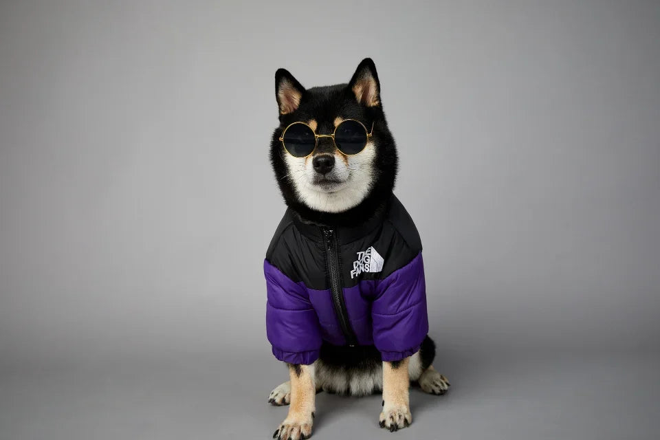 Puppy Coat Dog Down Jacket The Dog Fans Winter