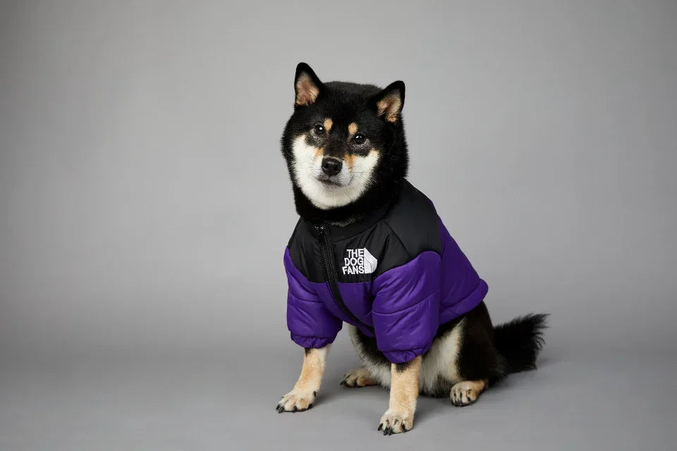 Puppy Coat Dog Down Jacket The Dog Fans Winter