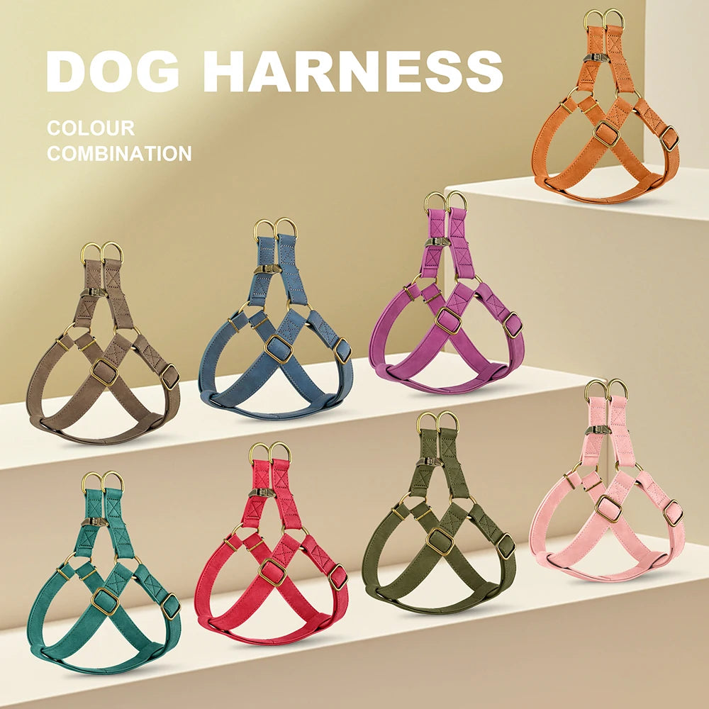 Custom PU Leather Harness And Leash Engraved Dog