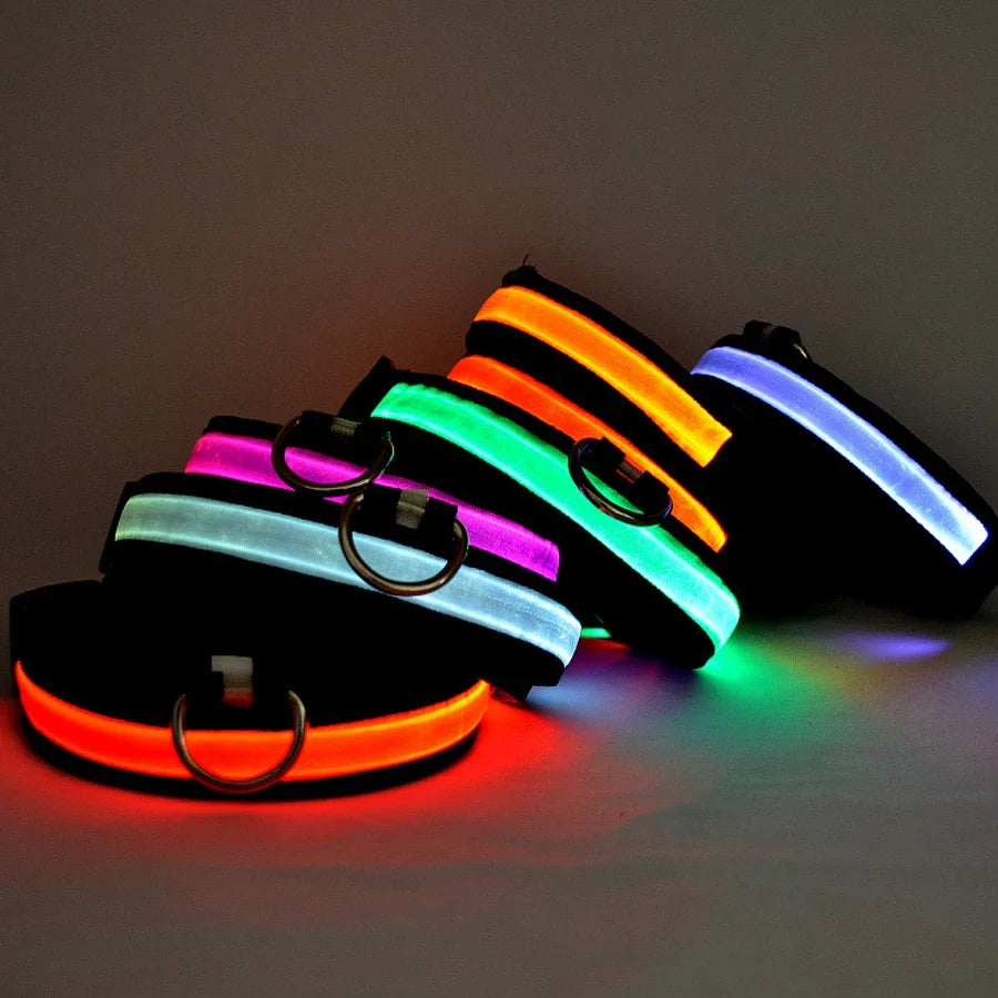Glowing Dog Collar Nylon LED Night Safetly Glow