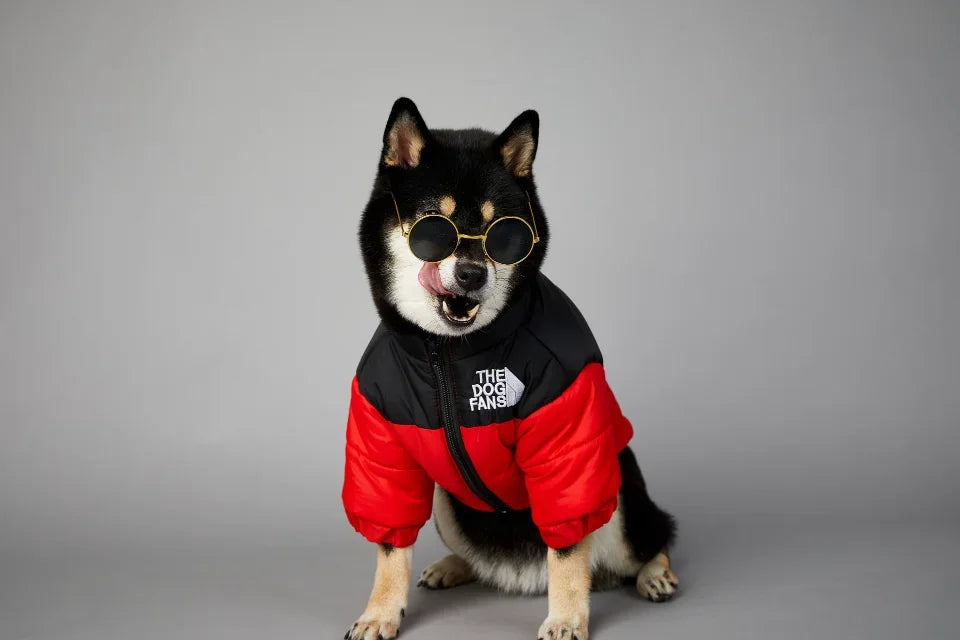 Puppy Coat Dog Down Jacket The Dog Fans Winter