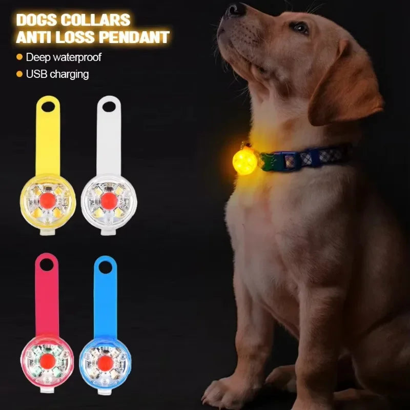 Dog collar loss collar weatherproof LED safety light