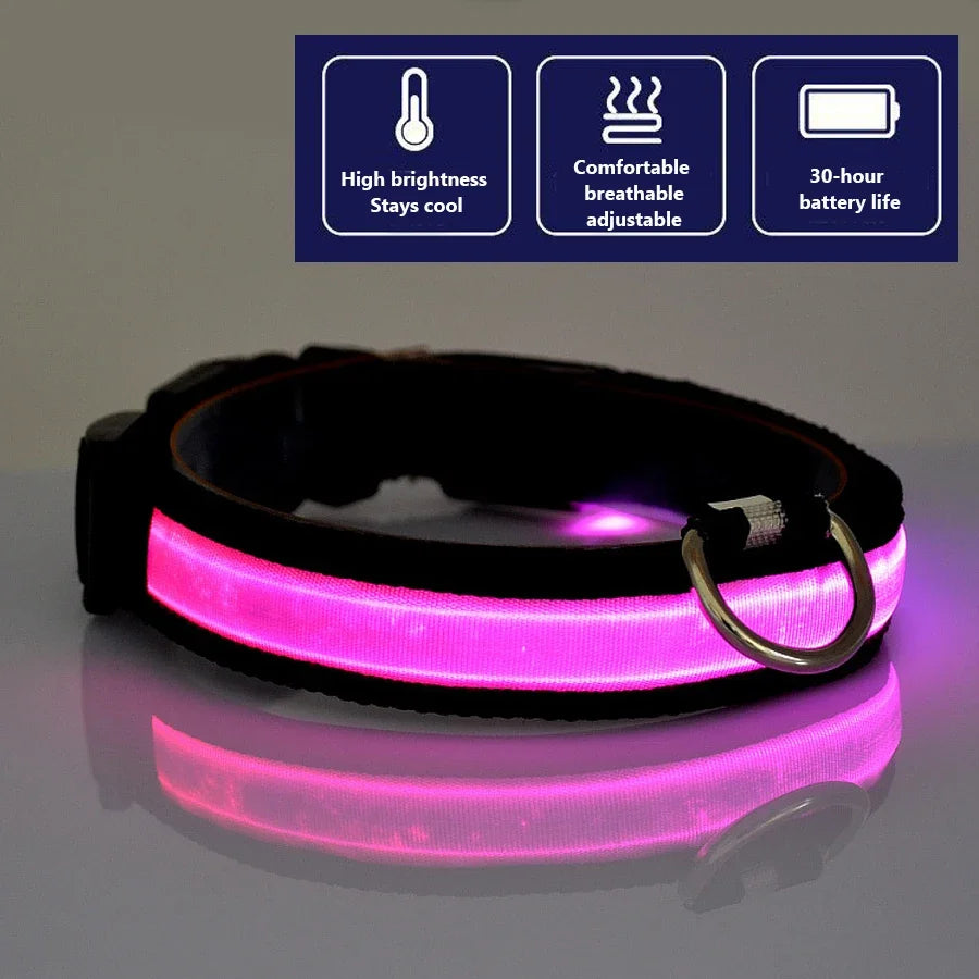 Glowing Dog Collar Nylon LED Night Safetly Glow