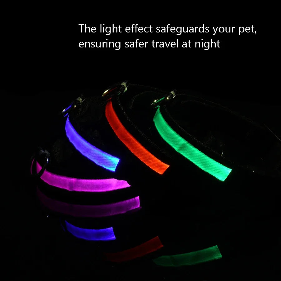 Glowing Dog Collar Nylon LED Night Safetly Glow