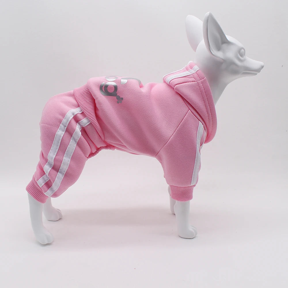 Brand Design Clothing Dog Jumpsuit Sports Pet Apparel