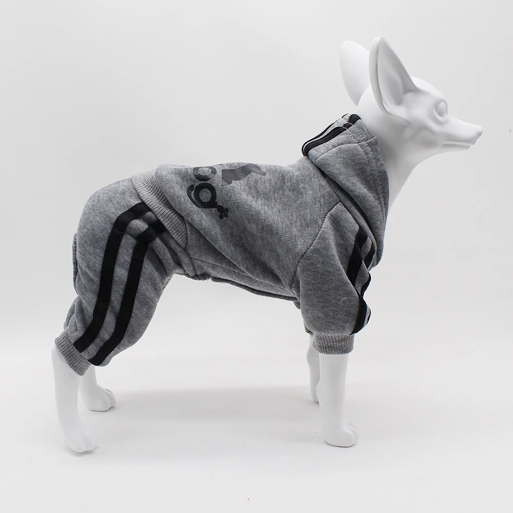 Brand Design Clothing Dog Jumpsuit Sports Pet Apparel