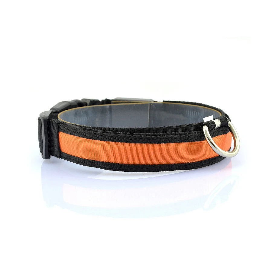 Glowing Dog Collar Nylon LED Night Safetly Glow