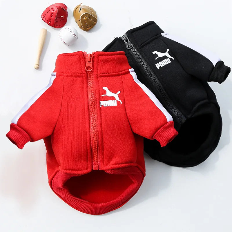 Manufacturer Customizes Pet Clothes Winter for Dogs