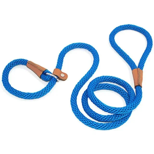 Chain Durable Nylon Slip Rope Dog Leash Collar 2 In 1