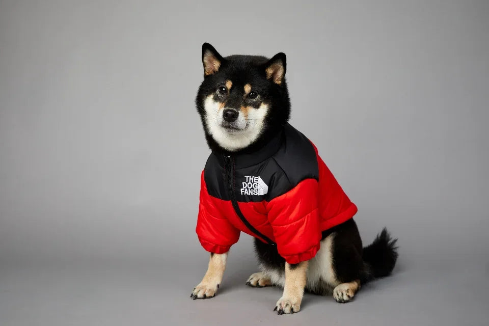 Puppy Coat Dog Down Jacket The Dog Fans Winter
