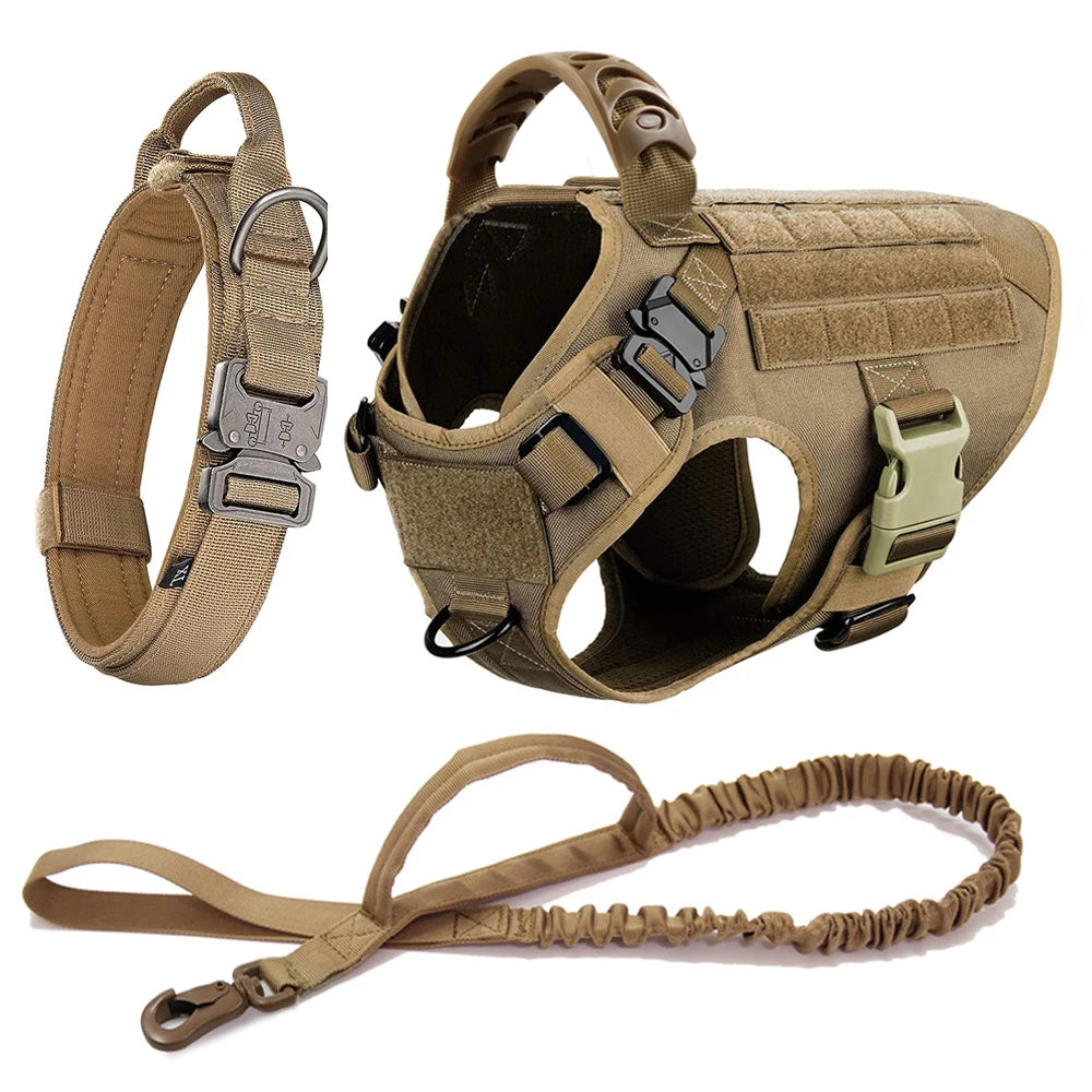 Large Dog Harness And Leash Set Pet Training Walking