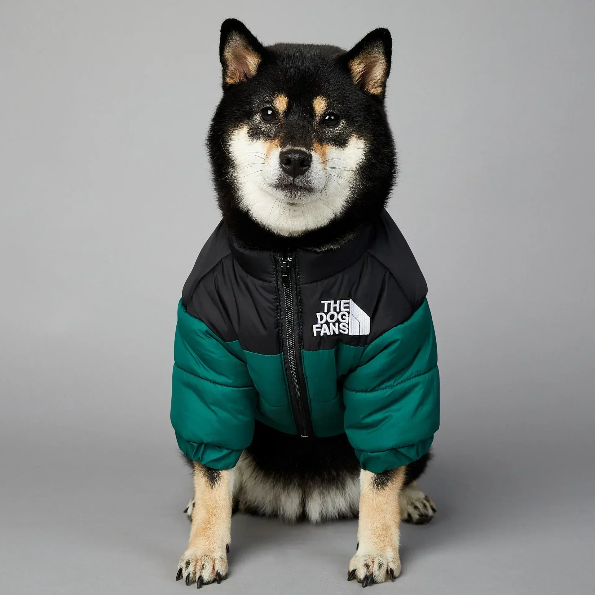 Puppy Coat Dog Down Jacket The Dog Fans Winter