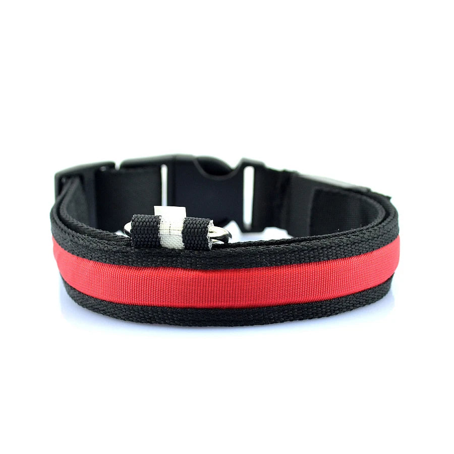 Glowing Dog Collar Nylon LED Night Safetly Glow