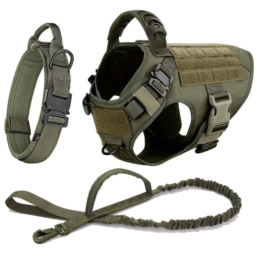 Large Dog Harness And Leash Set Pet Training Walking