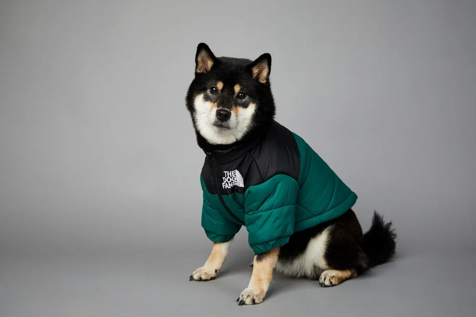 Puppy Coat Dog Down Jacket The Dog Fans Winter